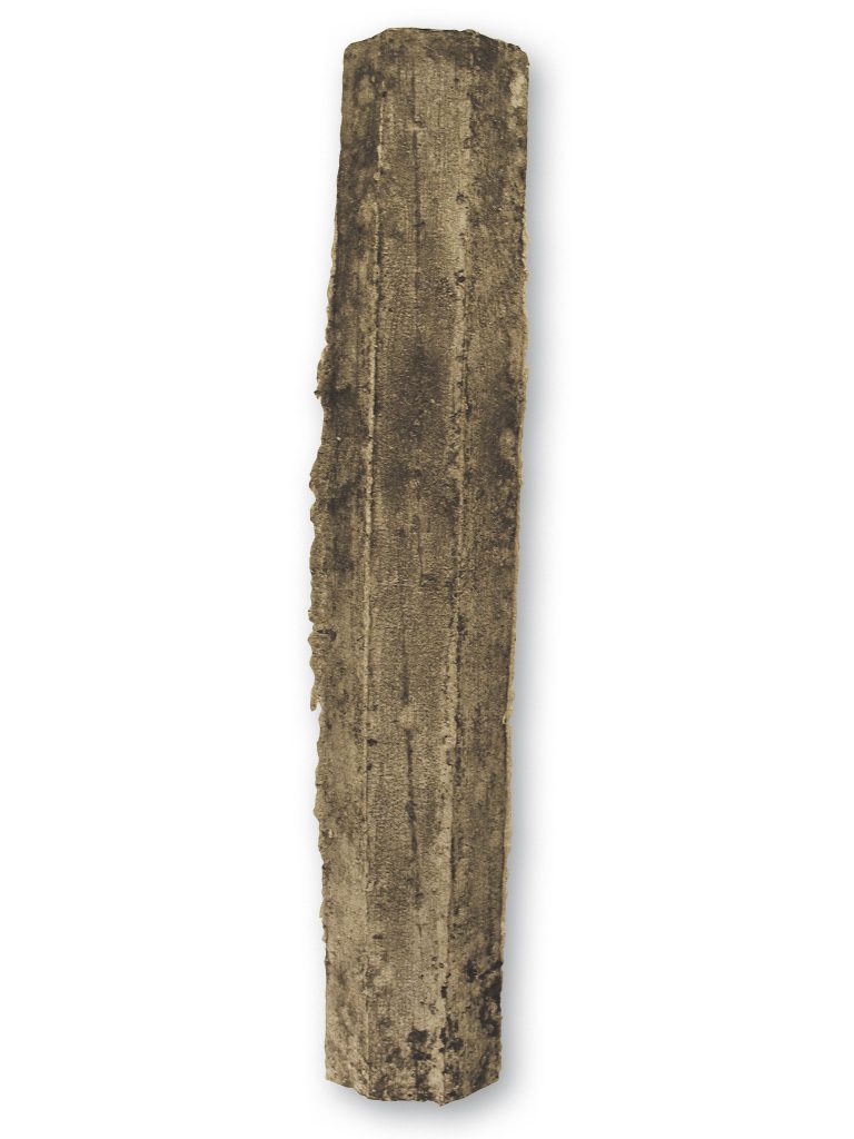 HOLZKISTE(WOODEN-CASE)_19x100x11cm_c20