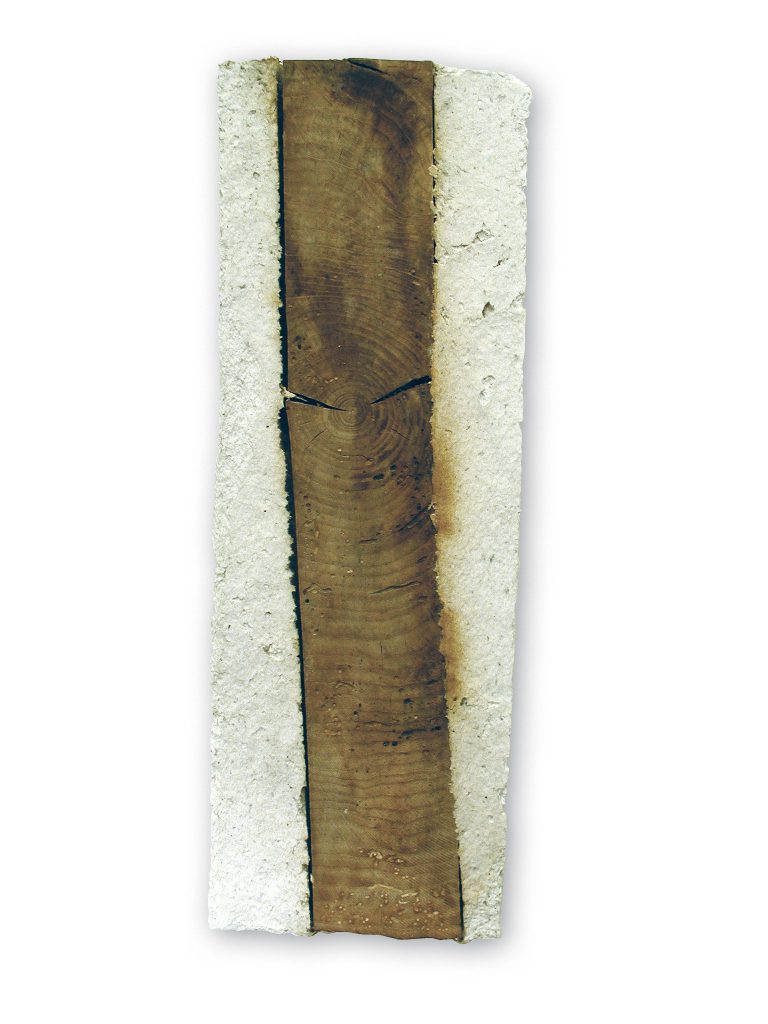 OBJEKT-MIT-HOLZ(OBJECT-WITH-WOOD)_17x50x4cm_c20
