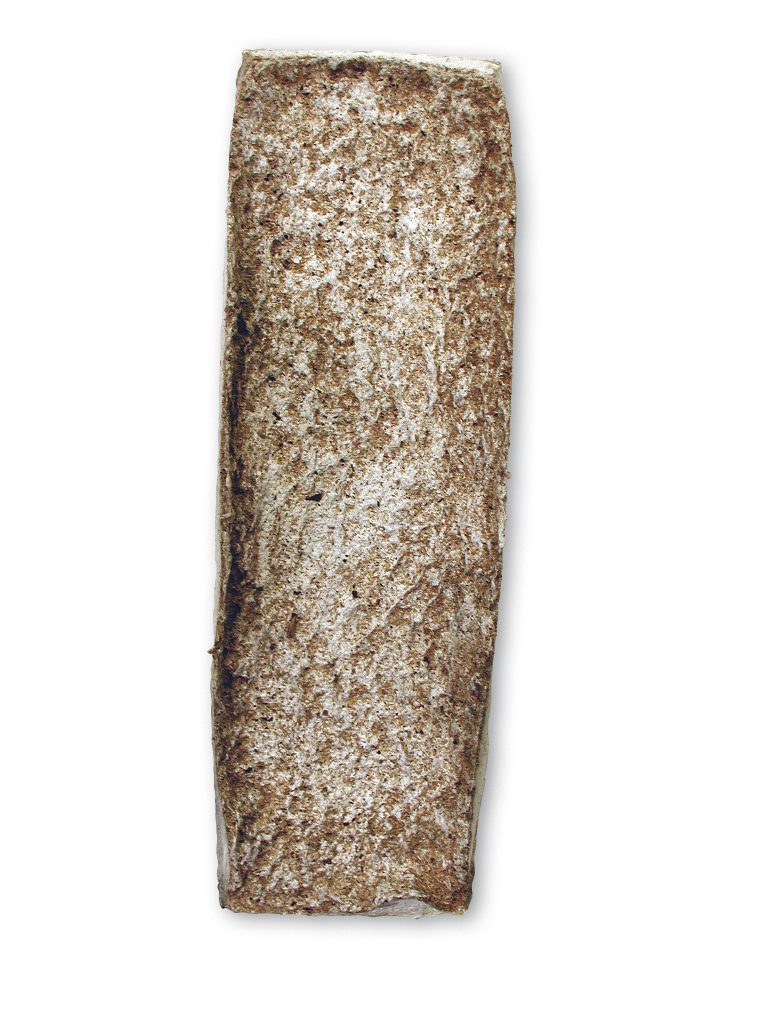 SCHACHTEL-SAEGESPAENE(BOX-SAWDUST)_19x59x5cm_c20